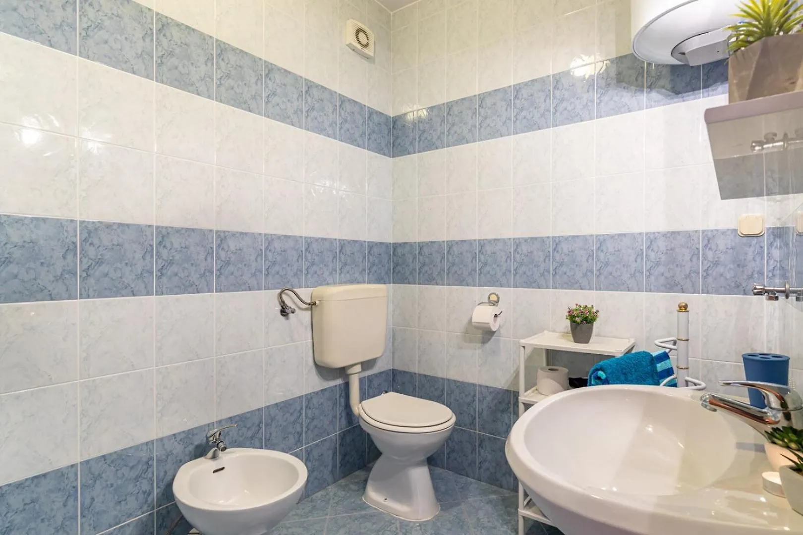 Apartments Banko Rovinj 3*,